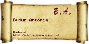Budur Antónia névjegykártya